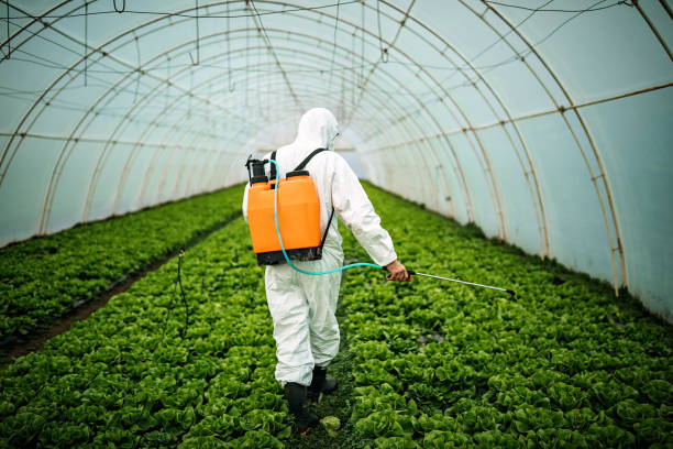 Best Pest Removal Services  in Copper Canyon, TX