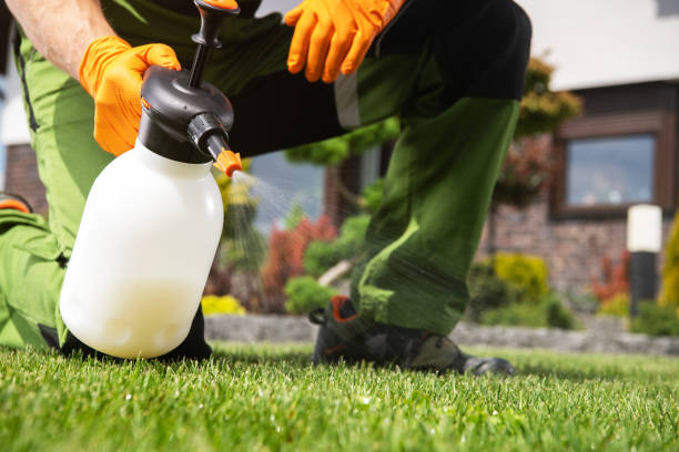 Best Pest Control Treatment  in Copper Canyon, TX