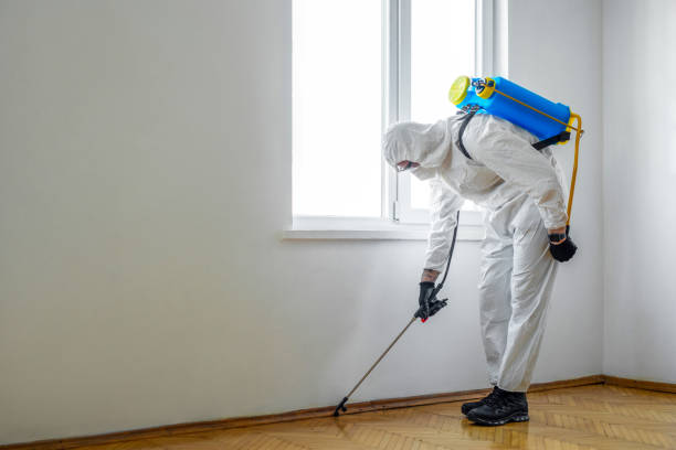 Best Termite Control Services  in Copper Canyon, TX