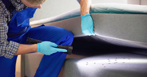 Best Pest Prevention Services  in Copper Canyon, TX