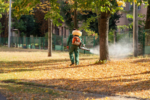  Copper Canyon, TX Pest Control Pros
