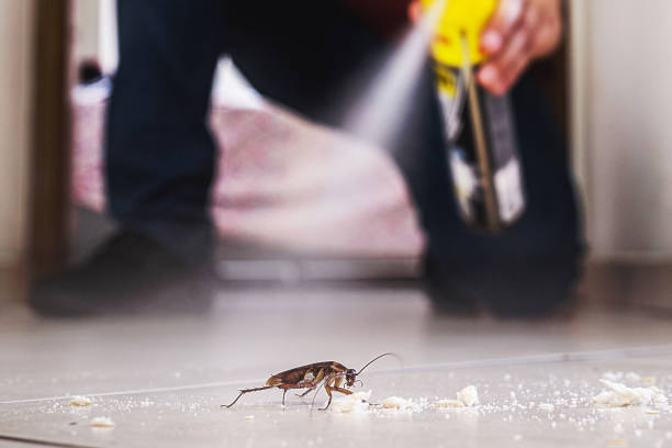 Best Pest Control Near Me  in Copper Canyon, TX