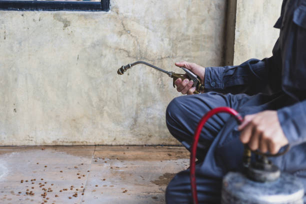 Best Best Pest Control Companies  in Copper Canyon, TX