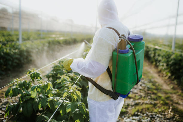 Best Pest Removal Services  in Copper Canyon, TX